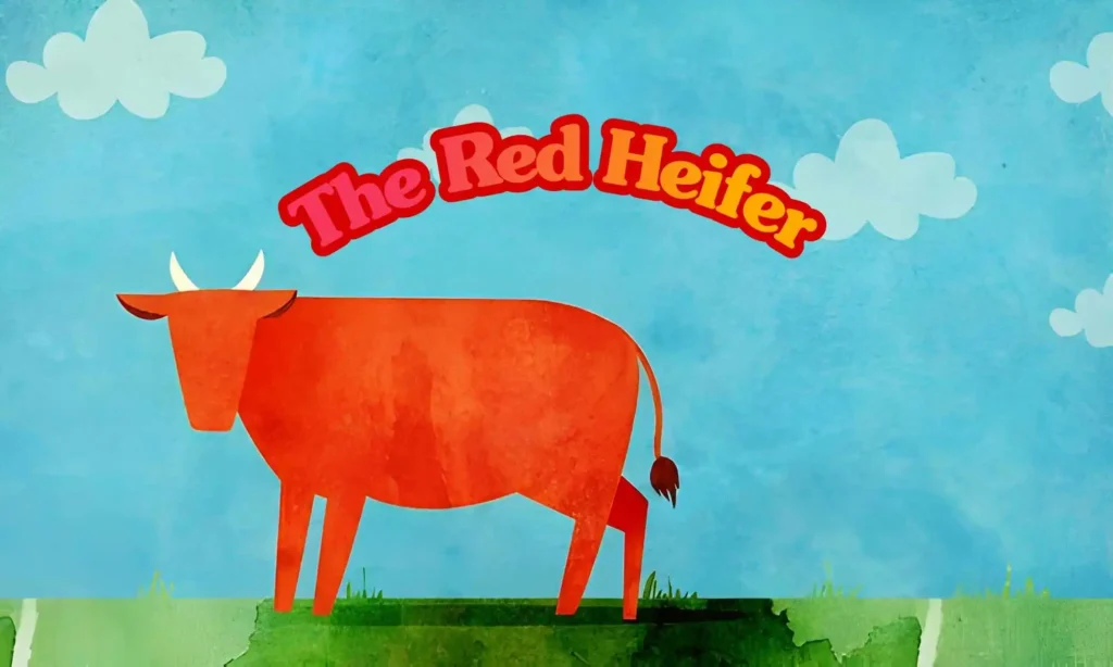 Red Heifer